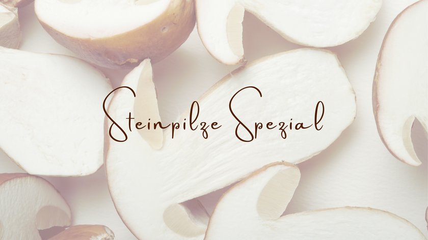 SPEZIAL-STEINPILZE SPEZIAL-STEINPILZE