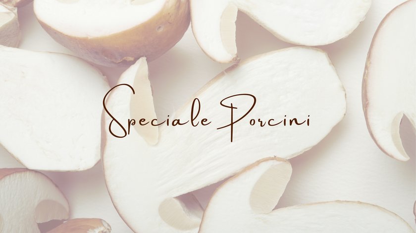 SPECIALE PORCINI SPECIALE PORCINI