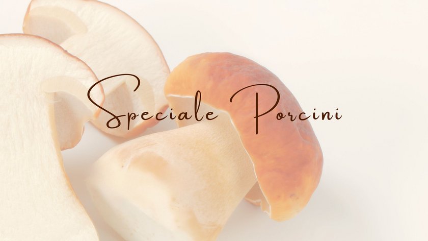 SPECIALE PORCINI SPECIALE PORCINI